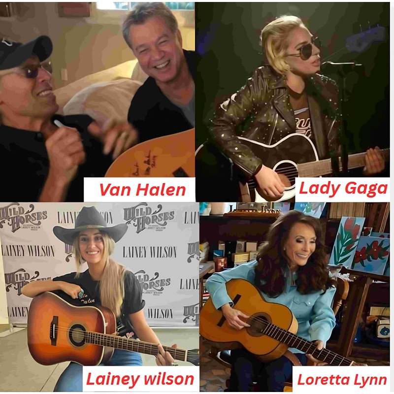 Zager Easy Play Acoustic Guitar Strings – Fits Martin, Taylor,