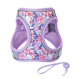 S Light Purple Flower Pattern Dog Harness and Leash Set,No Escape Easy Walk Puppy Harnesses for Training Walking，Breathable Adjustable Puppy Vest for Small Medium Dogs, Cats (Light Purple, S)