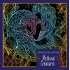 Super Scratch Art Pads: Mythical Creatures