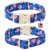 Maca Bates American Flag Basic Dog Collar with Safety Buckle