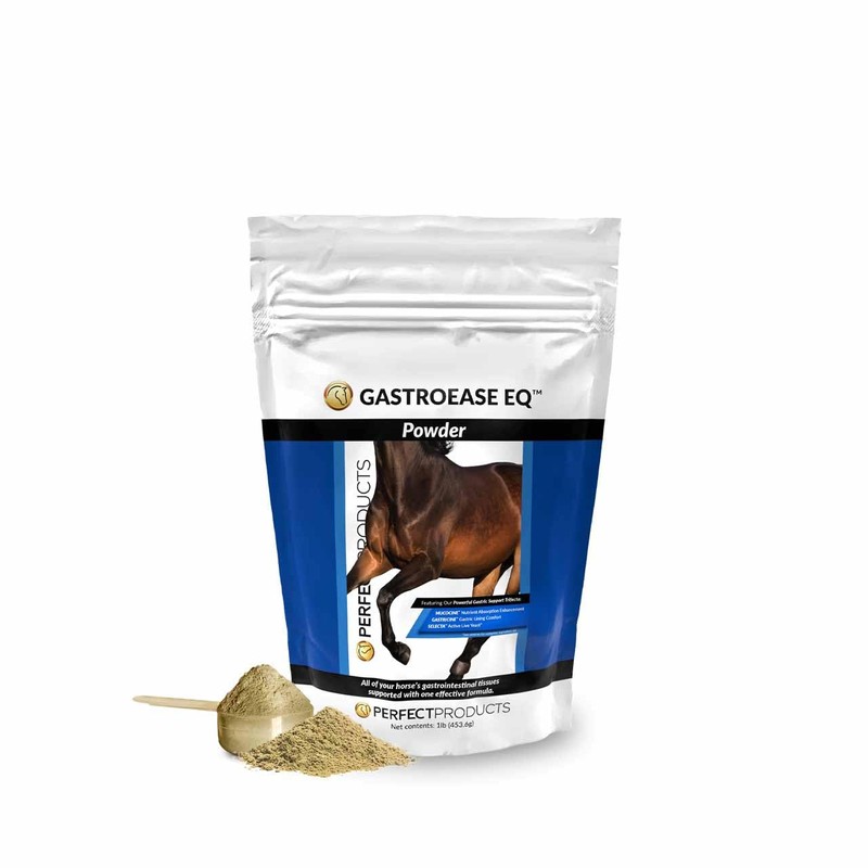 GastroEase EQ™ Complete Digestive Support Powder 2LB