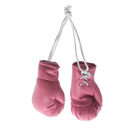 Mini Boxing Gloves Miniature Boxing Accessories Hanging Boxing Bag Gloves Decorative Boxing Toys for Home Car Christmas Boxing Party Decor (Pink)