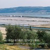 [Piran Salt] Slovenia Salt Flower, Crystal Salt, Sun-dried Salt Bottle,