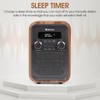 Denver DAB-48 Bluetooth DAB Radio With Remote Control - DAB/DAB+