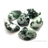 Pachamama Essentials Tree Agate Tumbled - Healing Stone - Crystal
