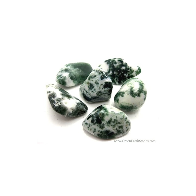 Pachamama Essentials Tree Agate Tumbled - Healing Stone - Crystal