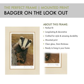 Robert E Fuller Badger on Lookout Print, Limited Edition of 850 Copies, 308gsm Thick Watercolour Paper using Lightfast Inks, Signed by the Artist (MOUNTED PRINT)