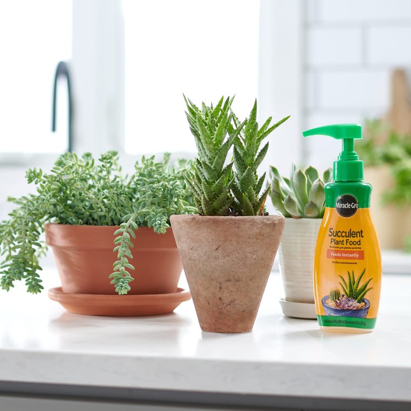 Miracle-Gro Succulent Plant Food, Liquid Plant Food for All Indoor