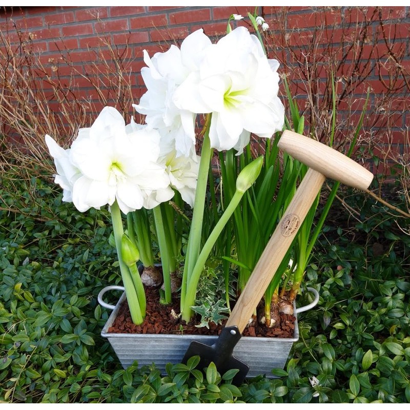 Dewit Perennial Spade – Compact Digging Tool for Tight Spaces