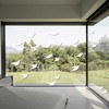 Window Stickers to Prevent Bird Collisions Bird Silhouettes Glass Door