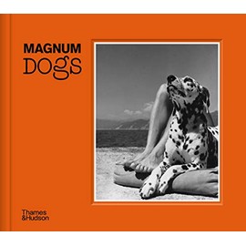 Magnum Dogs