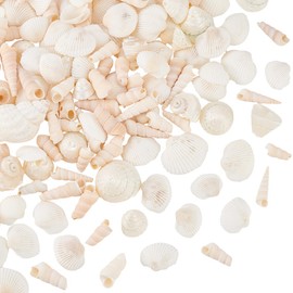 AHANDMAKER Mixed Beach Shells Natural Shells for Crafts 0.91 Inches 3.54 Inches Large Sea Shells Conch for DIY Crafts Fish Tank Vase Filler Wedding Home Decor