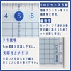 Raymay Fuji: Slip-Free Cutting Ruler