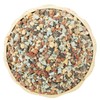 2lb Bonsai Succulent and Cactus Soil Boniosz Gritty Mix Rocks