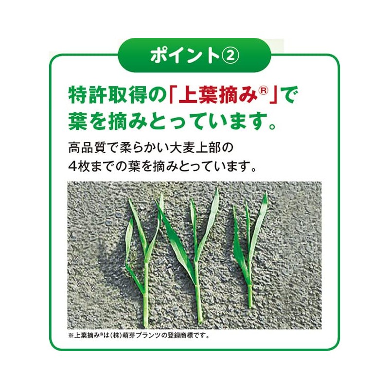 インシップ 国産青汁粒 315mg×240粒 30日分