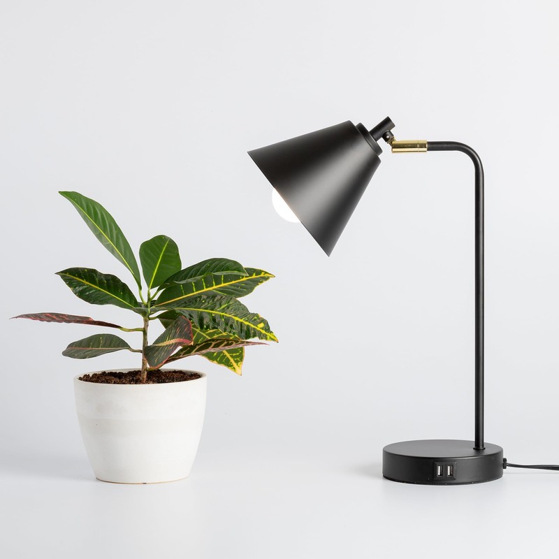 Back to the Roots Full Spectrum LED Grow Lights Value