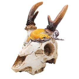 MHLLGN Reptile Decorations for Terrarium, Resin Skull Ornament Climbing Toy for Gecko, Tarantula Enclosure Accessories, Bearded Dragon Tank Accessories, Ball Python Tank Accessories