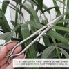 Bonsai Scissors Stainless Steel Leaf Sprout Shears with Long Handle