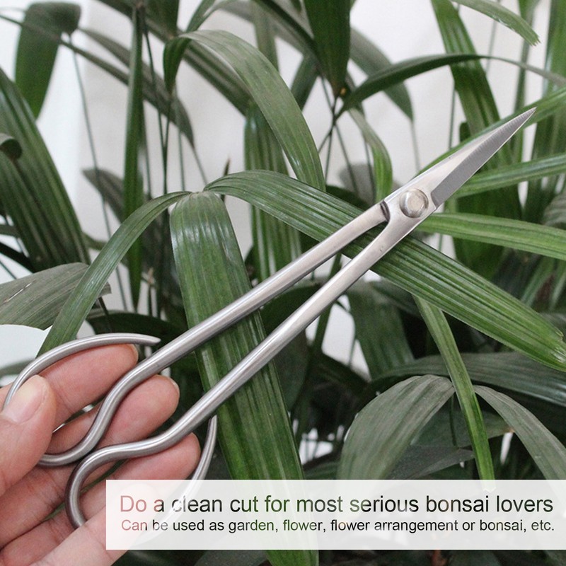 Bonsai Scissors Stainless Steel Leaf Sprout Shears with Long Handle