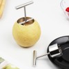 Gatuida 2pcs Apple Corer Pepper Remover Corer Remover Apples Peeler