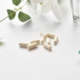 Canada 10 billion live lactic acid bacteria probiotic balance 60 capsules (2 months supply) Free Synbiotics / 캐나다 100억 생유산균 프로바이오틱스 밸런스 60캡슐 (2개월분) 프리 신바이오틱스