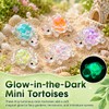 ElvenJoy 20Pcs Mini Turtles with Glitter and Glow Effect, Transparent