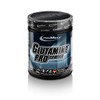 아이언맥스 글루타민 프로 파우더 비건 500g Iron Max Glutamine Pro Powder Vegan 500g
