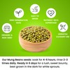 Premium Mung Bean Sprouting Seeds – Non GMO- Seeds come