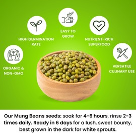 Premium Mung Bean Sprouting Seeds – Non GMO- Seeds come in Resealable Bag for Keeping Fresher for Longer (0.5 lb)