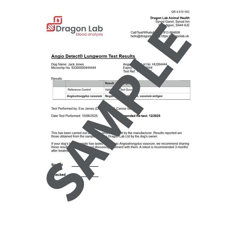 Dragon Lab & Canine Lungworm Test Kit Blood Screening for