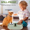 Kevideawl Cat Food Bowls, Raised Bowl with Stand, Stainless Steel,