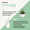 Teapigs Peppermint Leaves Tea Bags Made with Whole Leaves (1