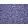 Toho Seed Beads 8/0 - Ceylon Lavender