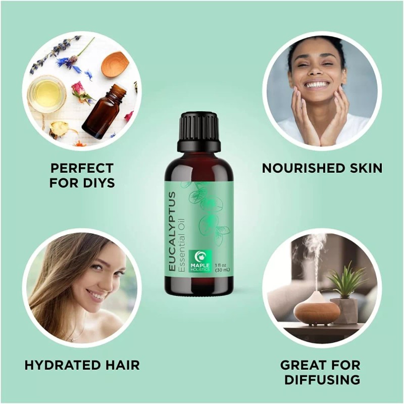 Maple Holistics Aceite Esencial Puro Eucalipto Para Difusor Y Masajes,