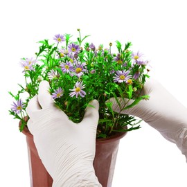 Kids Disposable Nitrile Gloves for 7-14 Years, Nitrile Gloves Kid Sized - Latex Free Glove for Painting, Cooking, Cleaning -White