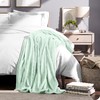 Bare Home Fleece Blanket - Full/Queen - Spring Mint -