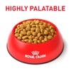 Royal Canin Urinary So Dry Cat para Gatos (El empaque