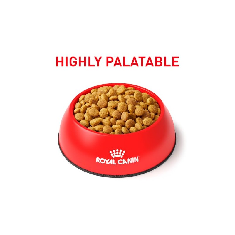 Royal Canin Urinary So Dry Cat para Gatos (El empaque