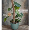 2 Pack Bendable Moss Pole 28 Inch, Monstera Plant Support