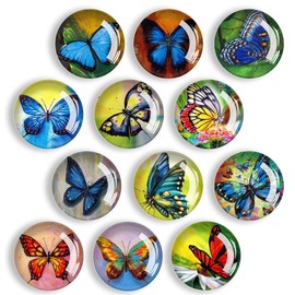 Fridge Magnets, Pack of 12 Fridge Magnet, Magnets for Magnetic Board for Fridge, Whiteboard, Notice Board, Kitchen, Children and Adults Gift (Butterfly)