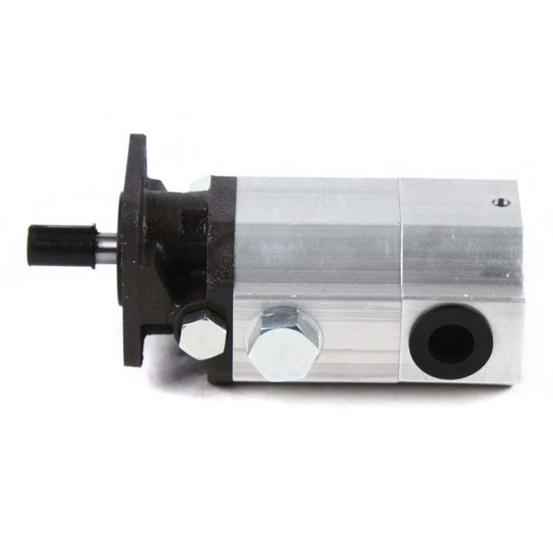 SHONFYVS Log Splitter Pump Gear Pump Wood Logsplitter for Wood