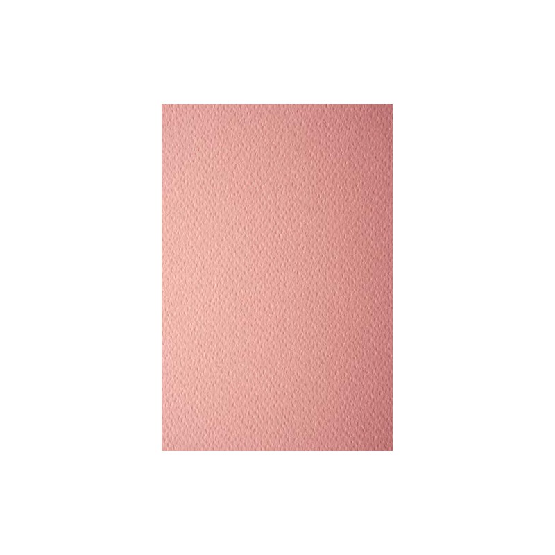 Netuno 10 x Coloured Card Salmon Colour Textured on One