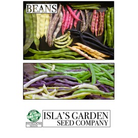 Burpee Stringless Green Bean Seeds, 50 Heirloom Seeds Per Packet, Non GMO Seeds