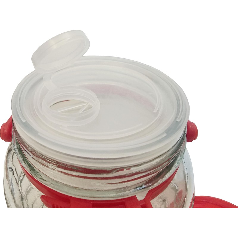 C&H Solutions 5L (1.32 Gallon) Glass Jar With Lid Wide