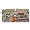 Funny Raccoon Windshield Sun Shade Foldable for SUV Trucks Cute