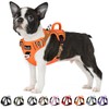 SlowTon No Pull Dog Harness, Heavy Duty No Choke Pet