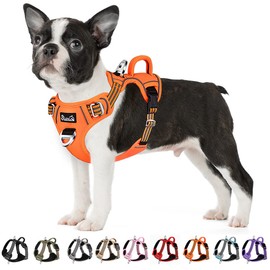 SlowTon No Pull Dog Harness, Heavy Duty No Choke Pet Harness with 2 Leash Clips and Easy Control Vertical Handle, Adjustable Soft Padded Dog Vest for Small, Medium and Large Dogs(Orange,M)