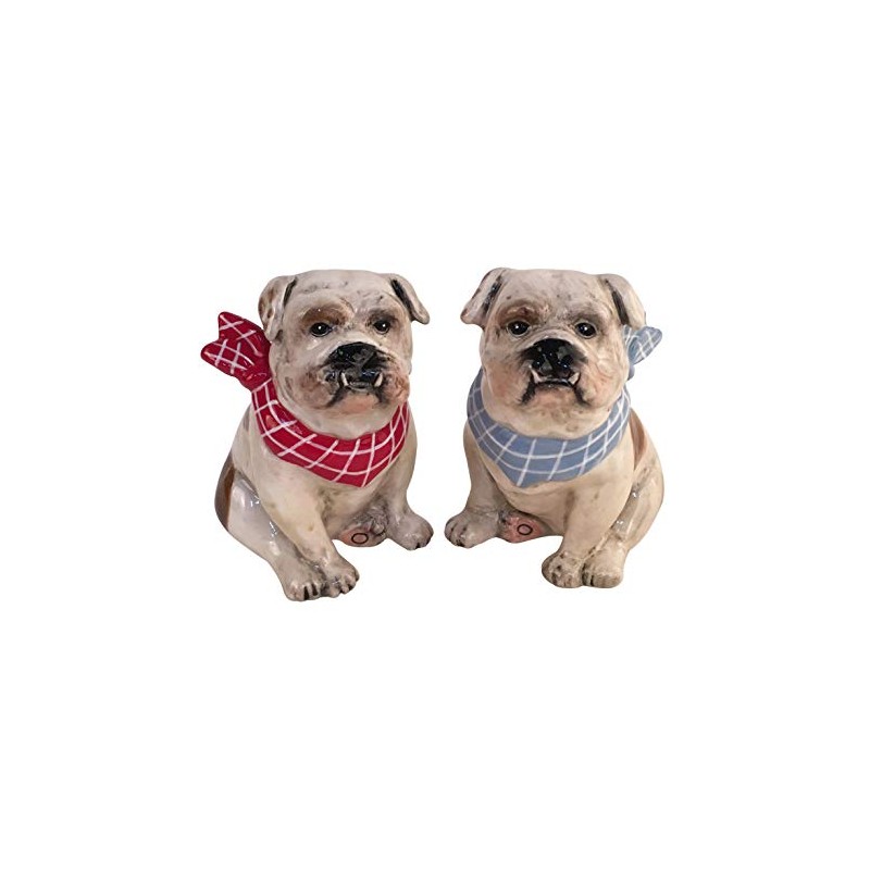 Blue Sky Ceramics Penelope Salt & Pepper Set, Multi