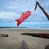 In the Breeze Koi Fish Windsock, 24-Inch, Red,4777