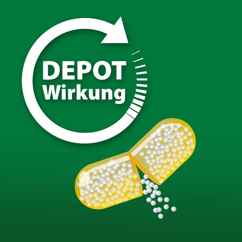 Vitamin C 300 Depot + Zinc + Histidine + Vitamin